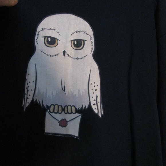 * Delta Fleece Hoodie Sweatshirt 2XL Plus Size Owl Harry Potter Blue Like New - Picture 2 of 5